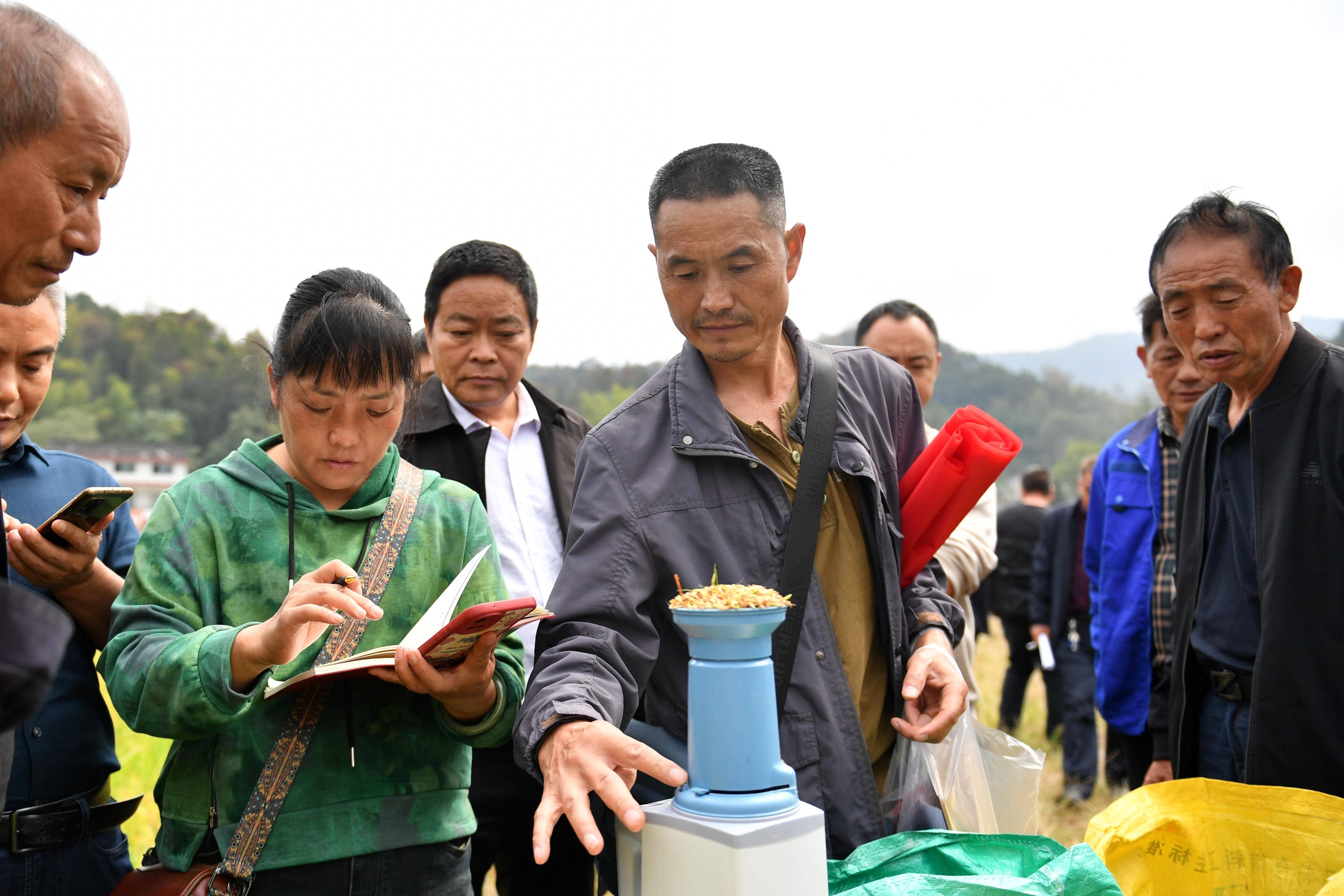 （经济）湖南双峰：“稻再油”示范片“一田三收”促增产-第1张图片-太平洋在线下载